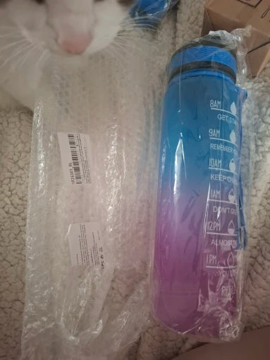 a1aab1174976434a1c080540916667e4